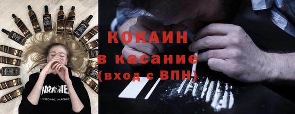индика Осинники