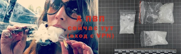 индика Осинники