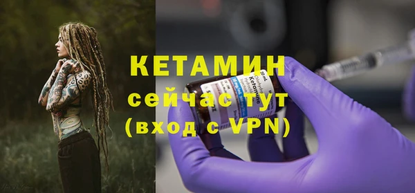 индика Осинники