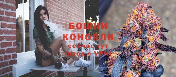 индика Осинники