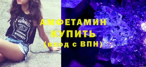 индика Осинники