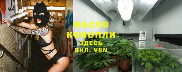 индика Осинники