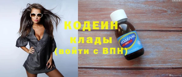 индика Осинники