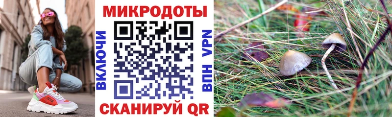 Псилоцибиновые грибы MAGIC MUSHROOMS  Чекалин 